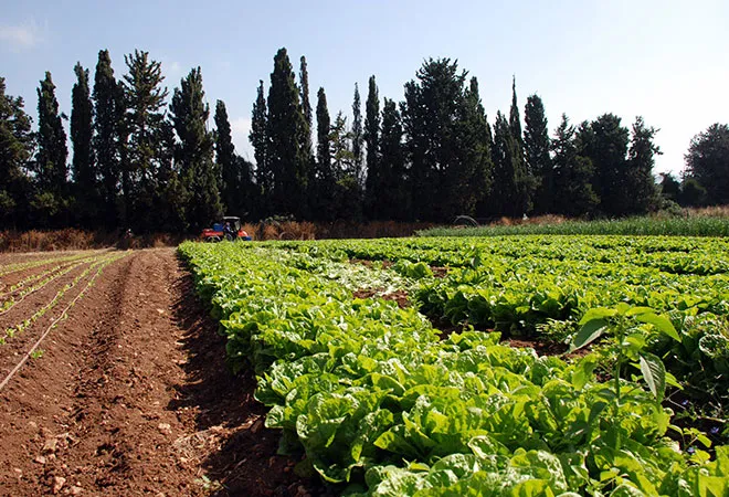 Climate-Smart Agriculture and Forest Sustainability 