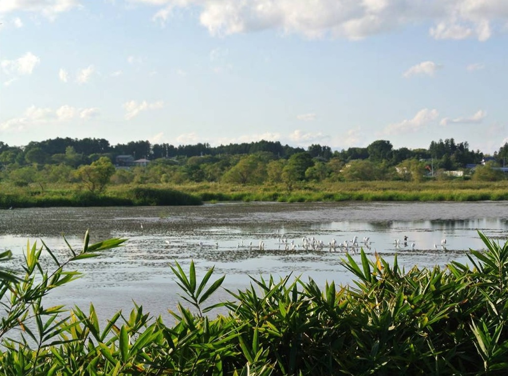 Rebuilding Terrestrial And Aquatic Environments In Africa.