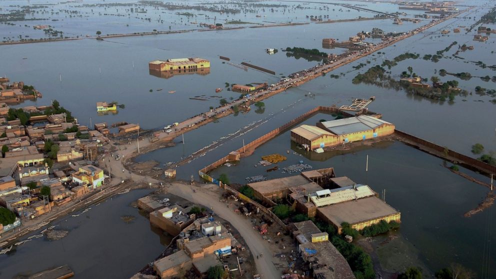 Climate Change and Changing Precipitation Patterns: Impacts and Actions in South Asia and Pakistan