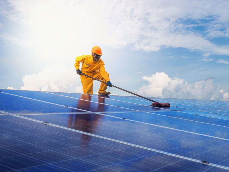 Green Jobs in Italy: 8 out of 10 Italians want more "sustainability" in their education programs.