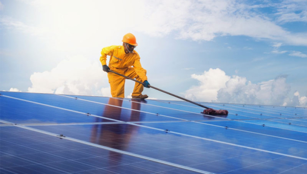 Green Jobs in Italy: 8 out of 10 Italians want more "sustainability" in their education programs.