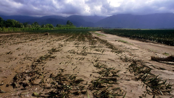 Negative Impacts of Climate Change on Food Security in South Africa