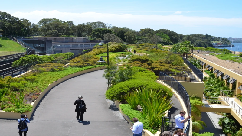 The Role of Green Infrastructure in the Cities