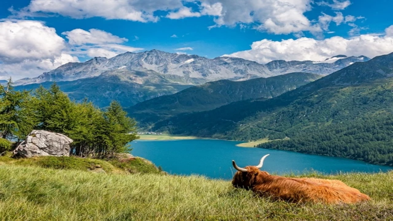 How much longer will the Swiss food sector withstand the challenges of climate change?