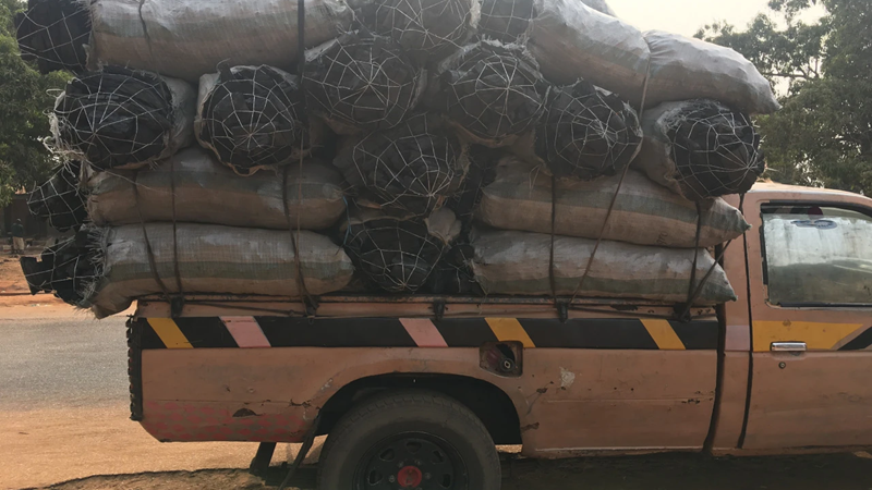 The Charcoal Paradox: Balancing Energy Needs with Environmental Concerns.