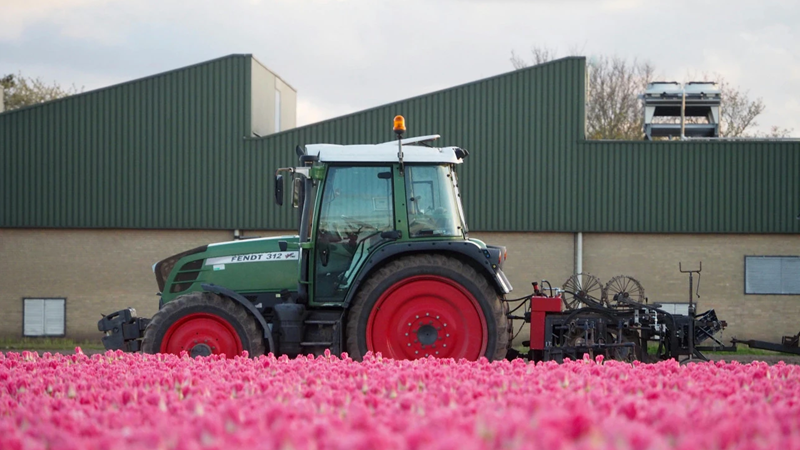 From Green to Grey: How Dutch Agriculture is Destroying Biodiversity